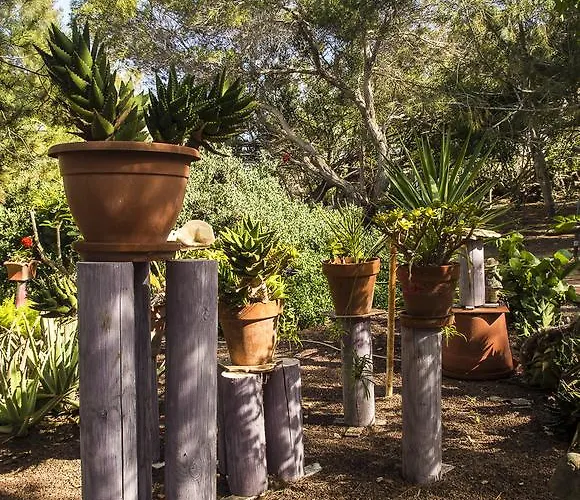 Casa Pedro * Lajares