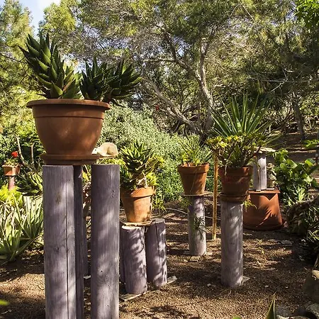 Casa Pedro * Lajares