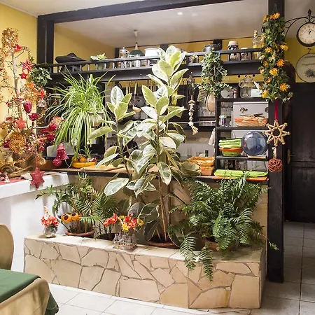 Bed & Breakfast Casa Pedro Lajares