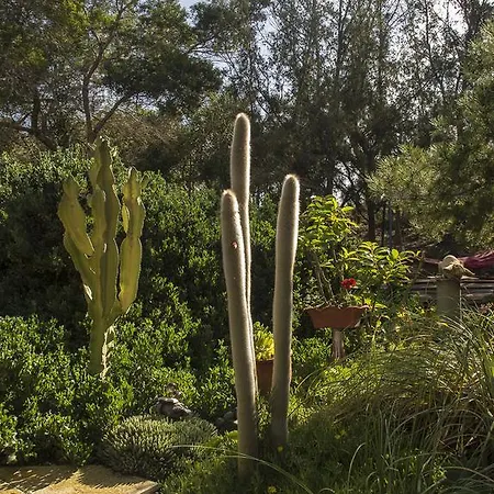 Casa Pedro ラハレス