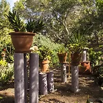 Casa Pedro * Lajares