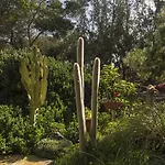 Casa Pedro Lajares